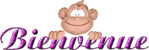 Gif animé bienvenue singe